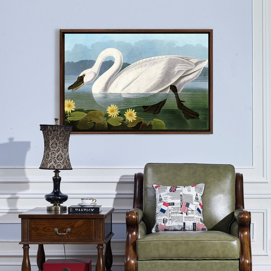 John James Audubon, Common American Swan,The Birds of America,canvas print,canvas art,canvas wall art,large wall art,framed wall art,p1829