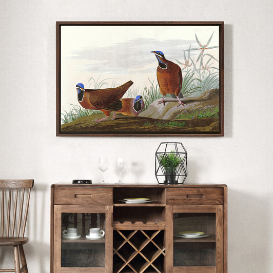 John James Audubon, Blue headed Pigeon,The Birds of America,canvas print,canvas art,canvas wall art,large wall art,framed wall art,p1817