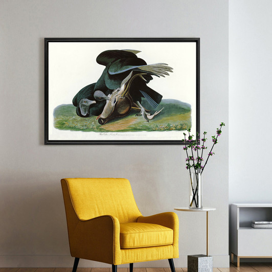 John James Audubon, Black Vulture or Carrion Crow,The Birds of America,canvas print,canvas art,canvas wall art,large wall art,framed,p1814
