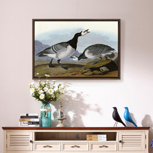 John James Audubon, Barnacle Goose,The Birds of America,canvas print,canvas art,canvas wall art,large wall art,framed wall art,p1806