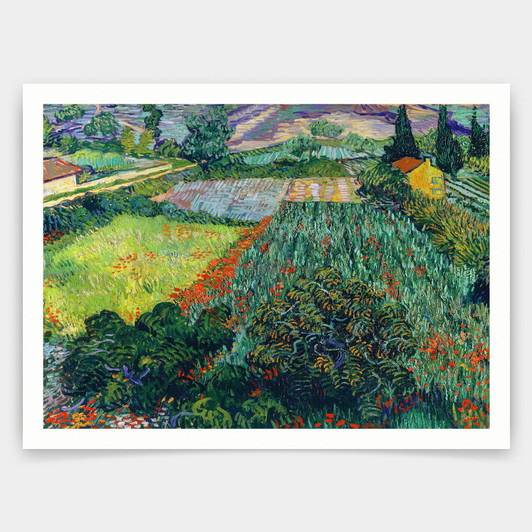Vincent van Gogh,Field with Poppies,art prints,Vintage art,canvas wall art,famous art prints,q1432