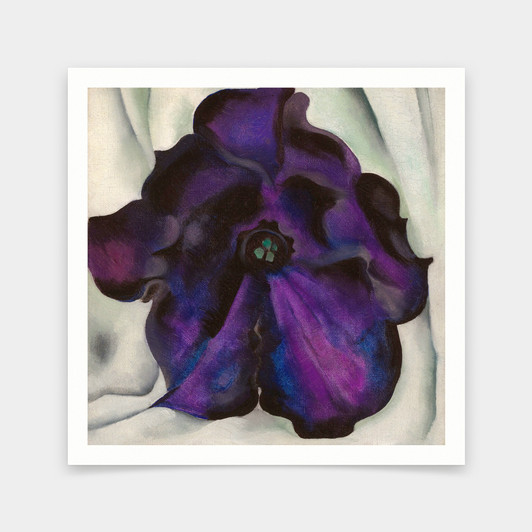 Georgia O'Keeffe,Untitled,Purple Petunia,art prints,Vintage art,canvas wall art,famous art prints,q2686