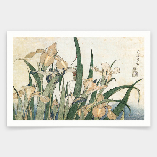 Hokusai,Iris Flowers and Grasshopper,japanese print,art prints,Vintage art,canvas wall art,famous art prints,V1545