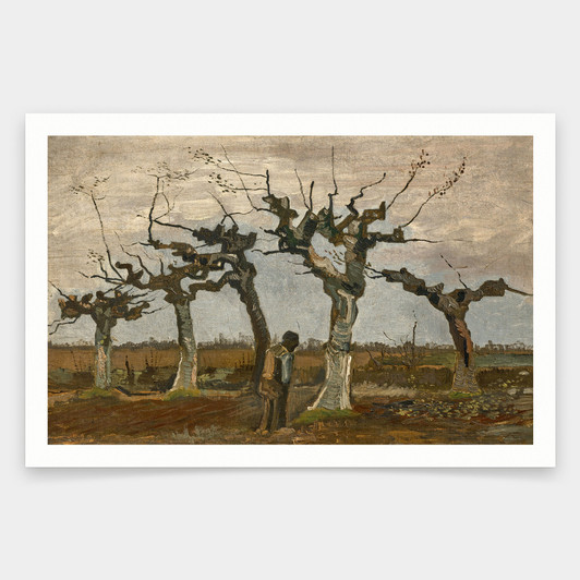 Vincent van Gogh,Knotberken,art prints,Vintage art,canvas wall art,famous art prints,V2085