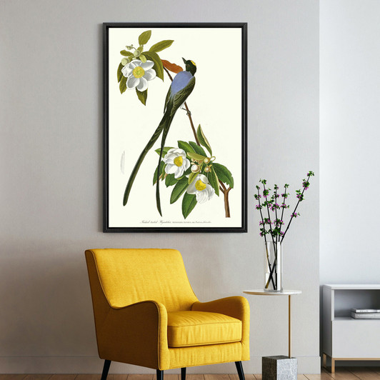 John James Audubon, Fork Tailed Flycatcher,The Birds Of America,Canvas Print,Canvas Art,Canvas Wall Art,Large Wall Art,Framed Wall Art,P2345