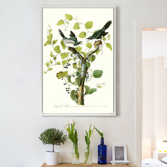 John James Audubon, Loggerhead Shrike,The Birds Of America,Canvas Print,Canvas Art,Canvas Wall Art,Large Wall Art,Framed Wall Art,P2408