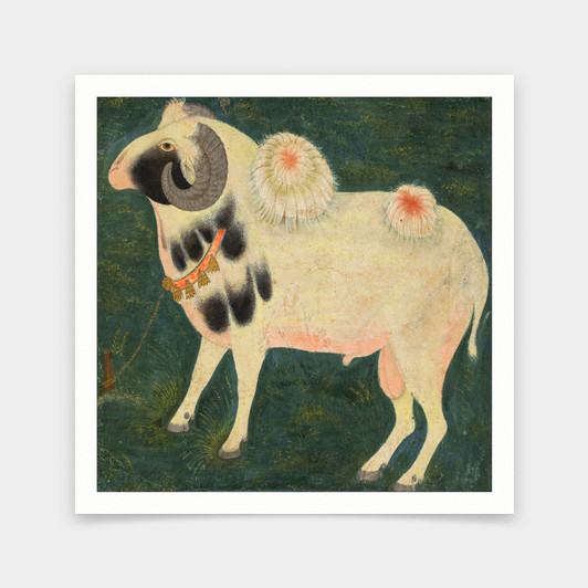 Indian Paintings,A royal ram with a gold chain,Indian print,art prints,sheep print,Vintage art,canvas wall art,famous art prints,V7151
