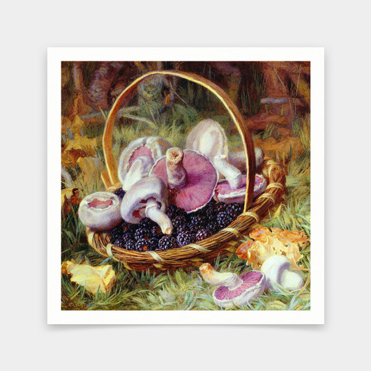 Jabez Bligh,A Basket Of Wild Mushrooms Drawing,mushroom print,art prints,Vintage art,canvas wall art,famous art prints,V7158