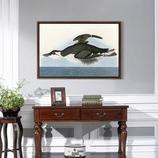 John James Audubon, Thick Billed Murre,The Birds Of America,Canvas Print,Canvas Art,Canvas Wall Art,Large Wall Art,Framed Wall Art,P1945