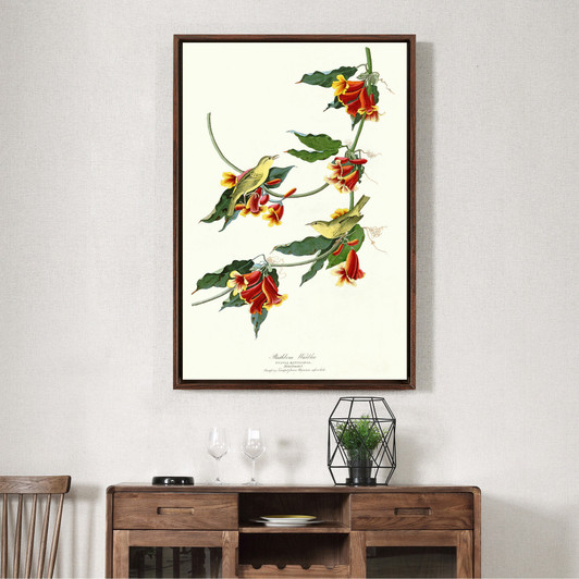 John James Audubon, Rathbone Warbler,The Birds Of America,Canvas Print,Canvas Art,Canvas Wall Art,Large Wall Art,Framed Wall Art,P2441