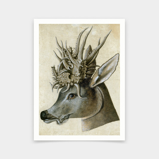 Hans Hoffmann,Head of a Roebuck with Monstrous Antlers, 1570,art prints,Vintage art,canvas wall art,famous art prints,V5930