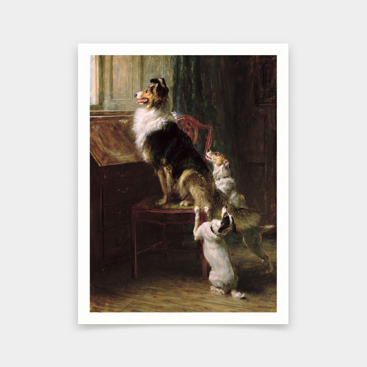 Briton Riviere,A Reserved Seat, 1901 ,art prints,Vintage art,canvas wall art,famous art prints,V5426