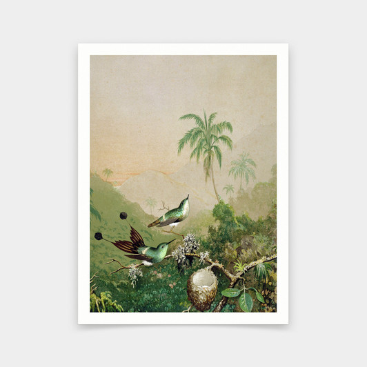 Martin Johnson Heade,Brazilian Hummingbirds II,art prints,Vintage art,canvas wall art,famous art prints,V6377