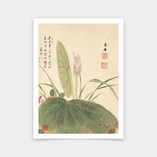 Xiang Shengmo,Lotus,Chinese Flower Paintings,art prints,Vintage art,canvas wall art,famous art prints,V6914