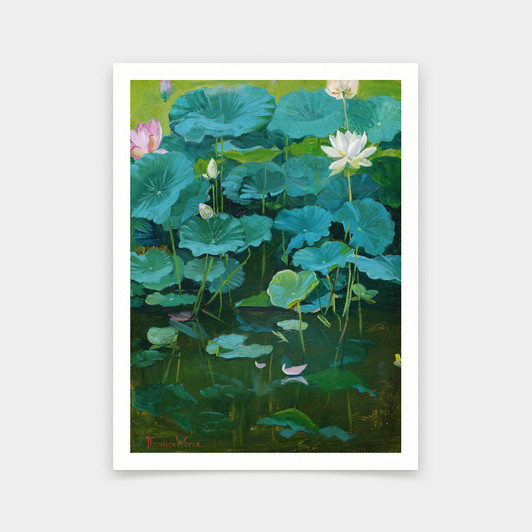 Theodore Wores,Buddha's Flowers Lotus,Lotus print,art prints,Vintage art,canvas wall art,famous art prints,2V287