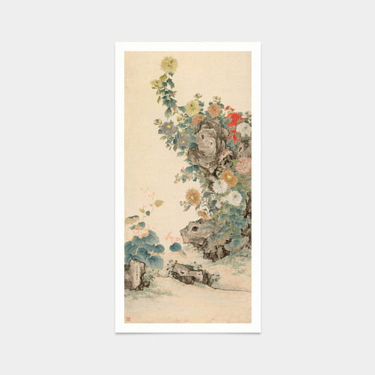Shen Huan,Chrysanthemums on the stone wall,Chinese Flower prints,japanese print,art prints,Vintage art,canvas wall art,famous art,V7539