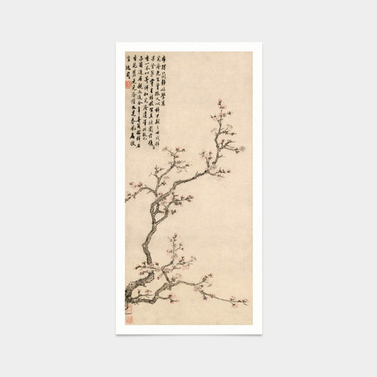 Shen Zhou,apricot flower,Chinese Flower prints,japanese print,art prints,Vintage art,canvas wall art,famous art prints,vertical,V7542