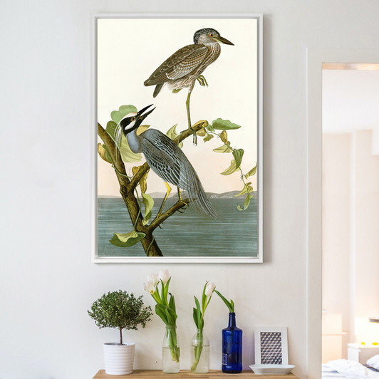 John James Audubon, Yellow Crowned Heron,The Birds of America,canvas print,canvas art,canvas wall art,large wall art,framed wall art,p2506