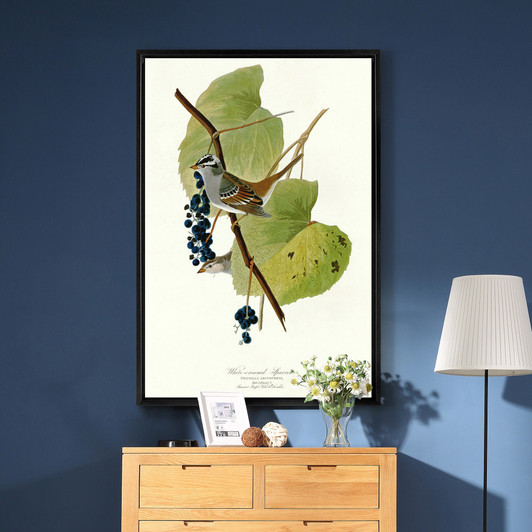 John James Audubon, White crowned Sparrow,The Birds of America,canvas print,canvas art,canvas wall art,large wall art,framed wall art,p2493
