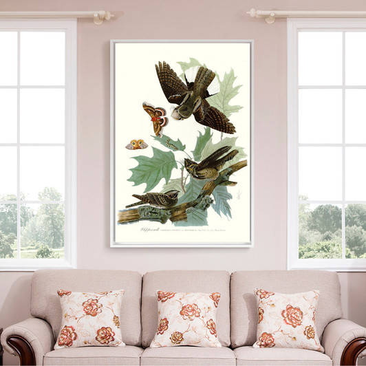 John James Audubon, Whip poor will,The Birds of America,canvas print,canvas art,canvas wall art,large wall art,framed wall art,p2489