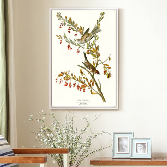 John James Audubon, Tree Sparrow,The Birds of America,canvas print,canvas art,canvas wall art,large wall art,framed wall art,p2484