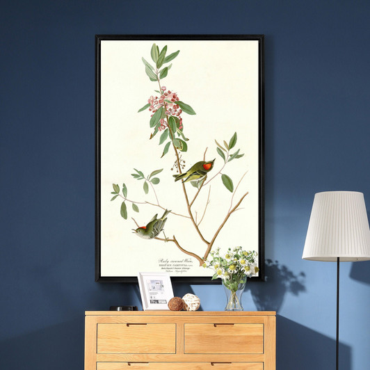 John James Audubon, Ruby crowned Wren,The Birds of America,canvas print,canvas art,canvas wall art,large wall art,framed wall art,p2456