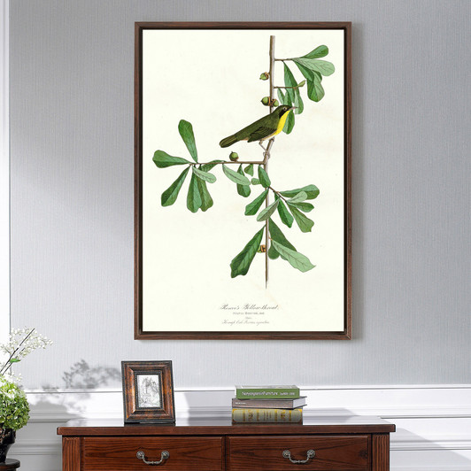 John James Audubon,Roscoe's Yellow throat,The Birds of America,canvas print,canvas art,canvas wall art,large wall art,framed wall art,p2452
