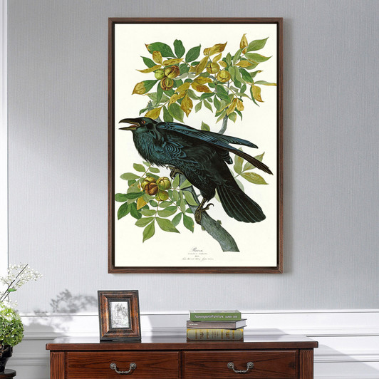 John James Audubon, Raven,The Birds of America,canvas print,canvas art,canvas wall art,large wall art,framed wall art,p2442