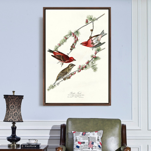 John James Audubon, Purple Finch,The Birds of America,canvas print,canvas art,canvas wall art,large wall art,framed wall art,p2438