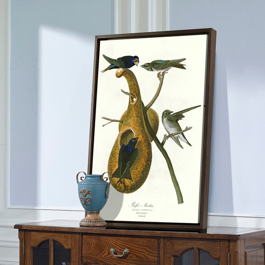 John James Audubon, Purple Martin,The Birds of America,canvas print,canvas art,canvas wall art,large wall art,framed wall art,p2440