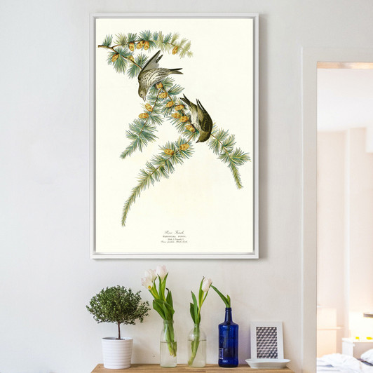 John James Audubon, Pine Finch,The Birds of America,canvas print,canvas art,canvas wall art,large wall art,framed wall art,p2432