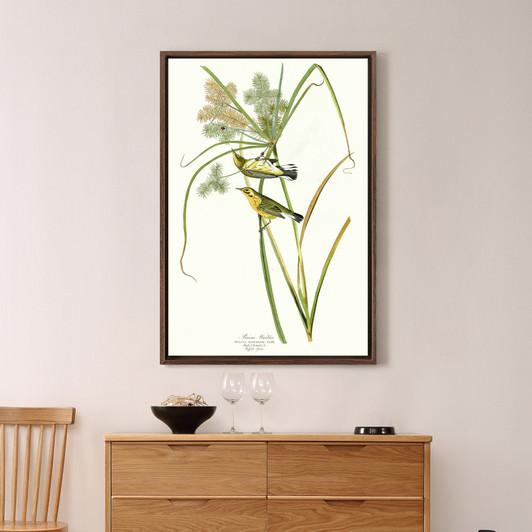 John James Audubon, Prairie Warbler,The Birds of America,canvas print,canvas art,canvas wall art,large wall art,framed wall art,p2436