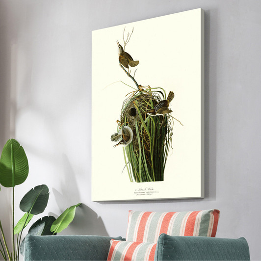 John James Audubon, Marsh Wren,The Birds of America,canvas print,canvas art,canvas wall art,large wall art,framed wall art,p2415