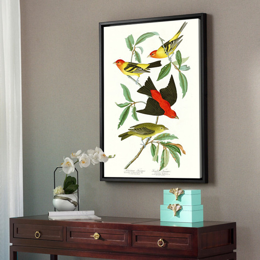 John James Audubon,Louisiana Tanager,The Birds of America,canvas print,canvas art,canvas wall art,large wall art,framed wall art,p2390