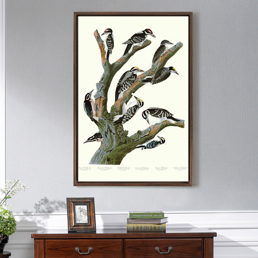 John James Audubon,Maria's Woodpecker,The Birds of America,canvas print,canvas art,canvas wall art,large wall art,framed wall art,p2391