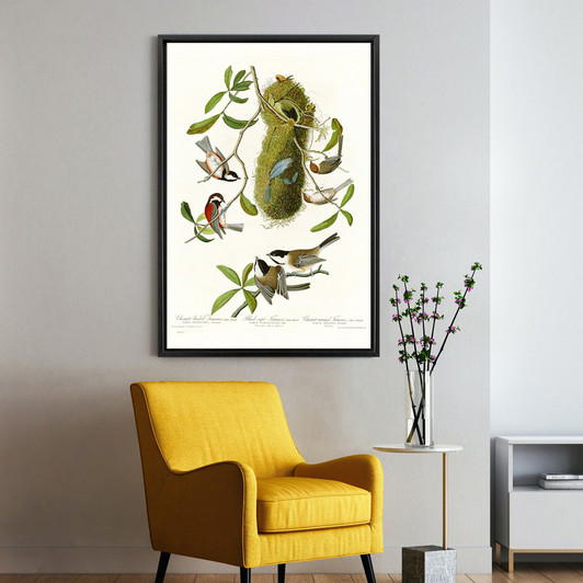 John James Audubon,Chesnut backed Titmouse,Black capt Titmouse,The Birds of America,canvas print,canvas art,canvas wall art,large art,p2378