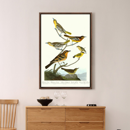 John James Audubon,Bullock's Oriole,Baltimore Oriole,The Birds of America,canvas print,canvas art,canvas wall art,large wall art,p2377