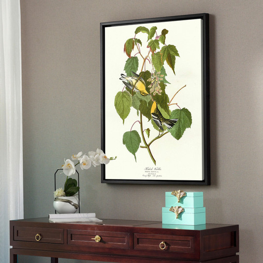 John James Audubon, Hemlock Warbler,The Birds of America,canvas print,canvas art,canvas wall art,large wall art,framed wall art,p2363