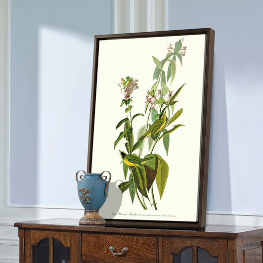 John James Audubon,Green Black capt Flycatcher,The Birds of America,canvas print,canvas art,canvas wall art,large wall art,framed art,p2360