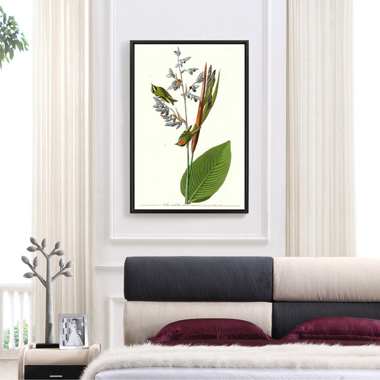 John James Audubon, Goldon crested Wren,The Birds of America,canvas print,canvas art,canvas wall art,large wall art,framed wall art,p2349