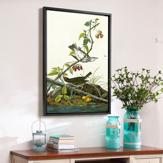 John James Audubon, Golden crowned Thrush,The Birds of America,canvas print,canvas art,canvas wall art,large wall art,framed wall art,p2347