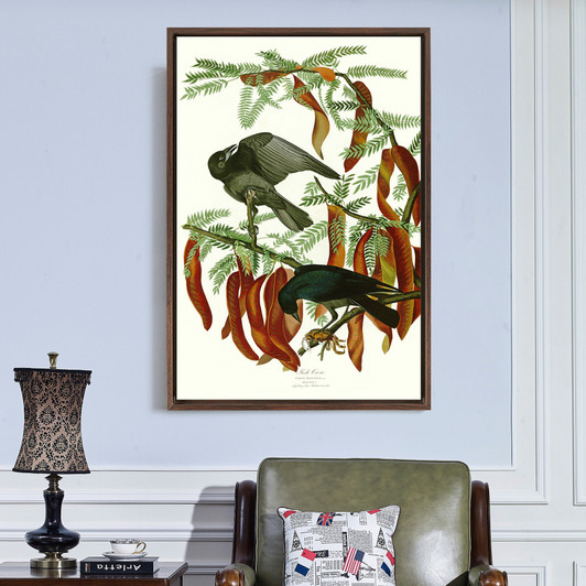 John James Audubon, Fish Crow,The Birds of America,canvas print,canvas art,canvas wall art,large wall art,framed wall art,p2342