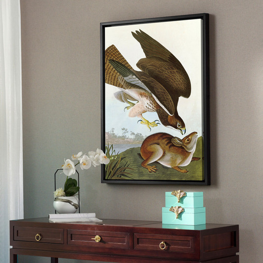 John James Audubon, Common Buzzard,The Birds of America,canvas print,canvas art,canvas wall art,large wall art,framed wall art,p2334