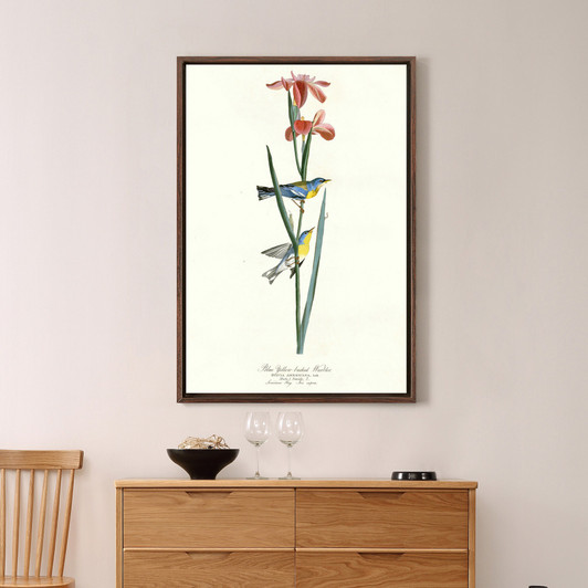 John James Audubon, Blue Yellow backed Warbler,The Birds of America,canvas print,canvas art,canvas wall art,large wall art,framed art,p2307