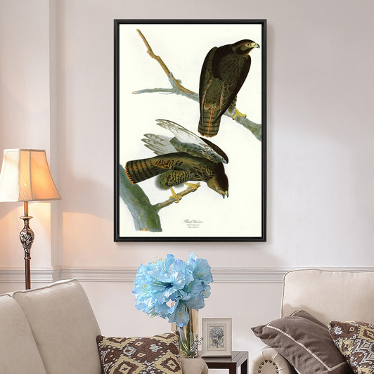 John James Audubon, Black Warrior,The Birds of America,canvas print,canvas art,canvas wall art,large wall art,framed wall art,p2298