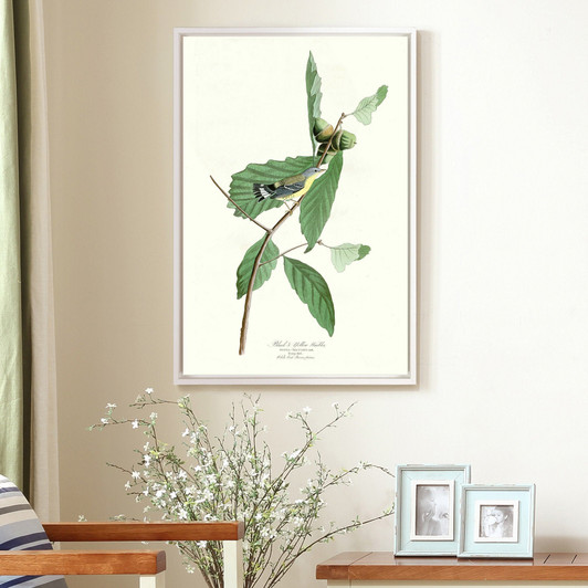 John James Audubon, Black & Yellow Warbler,The Birds of America,canvas print,canvas art,canvas wall art,large wall art,framed wall art,p2288