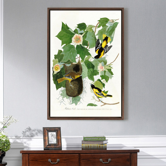 John James Audubon, Baltimore Oriole,The Birds of America,canvas print,canvas art,canvas wall art,large wall art,framed wall art,p2278