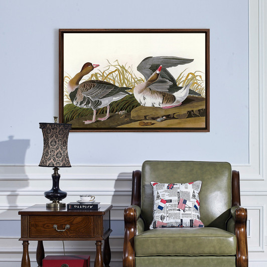 John James Audubon, White fronted Goose,The Birds of America,canvas print,canvas art,canvas wall art,large wall art,framed wall art,p1956