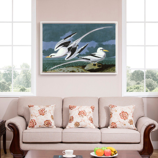 John James Audubon, Tropic Bird,The Birds of America,canvas print,canvas art,canvas wall art,large wall art,framed wall art,p1946