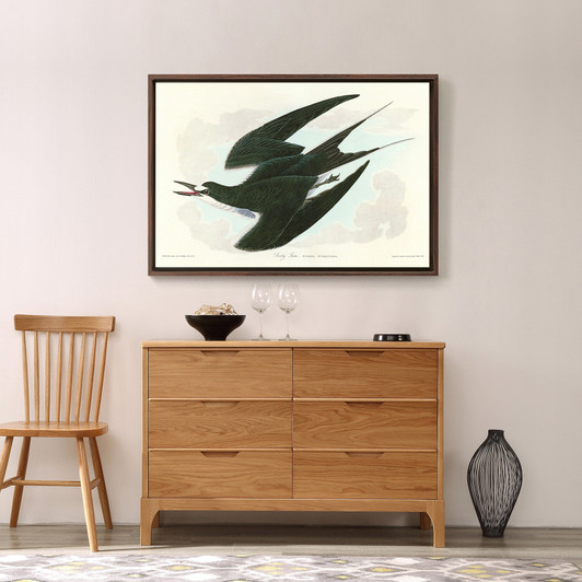 John James Audubon, Sooty Tern,The Birds of America,canvas print,canvas art,canvas wall art,large wall art,framed wall art,p1938